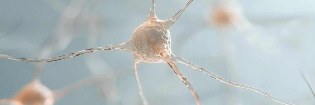 幻灯片-山海菠菜源码网